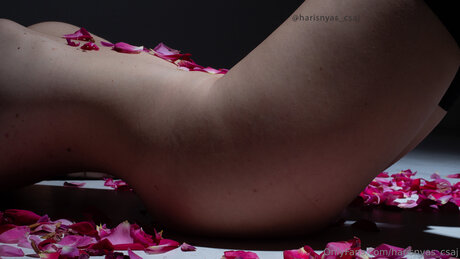 fans navajos uniquement art supérieur images