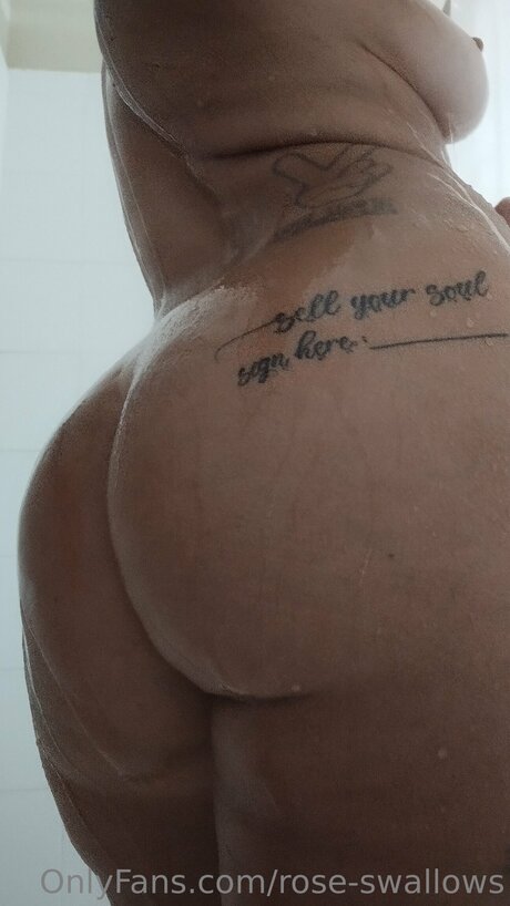 Rose Swallows modèle sympa collection