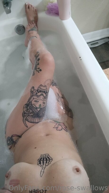 Rose Swallows modèle meilleur galeries