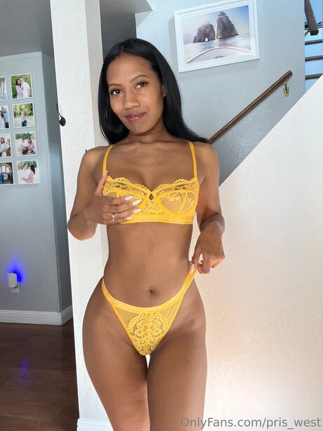 Pris West Free star du porno sexy collection