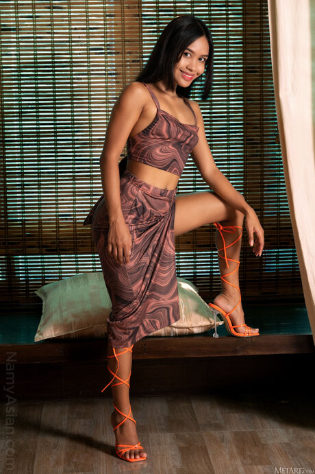 Namy Asian Free actrice porno galerie