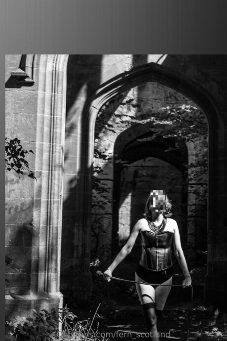 Fern Scotland haut étoile photos