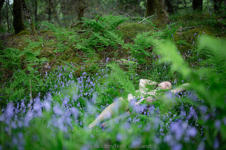 Fern Scotland modèle de haute qualité galerie