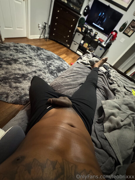 Leobrixxx mannequin photo