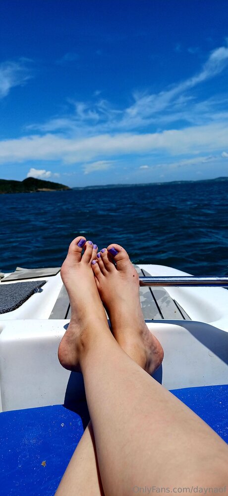 Daynaof haut modèle image