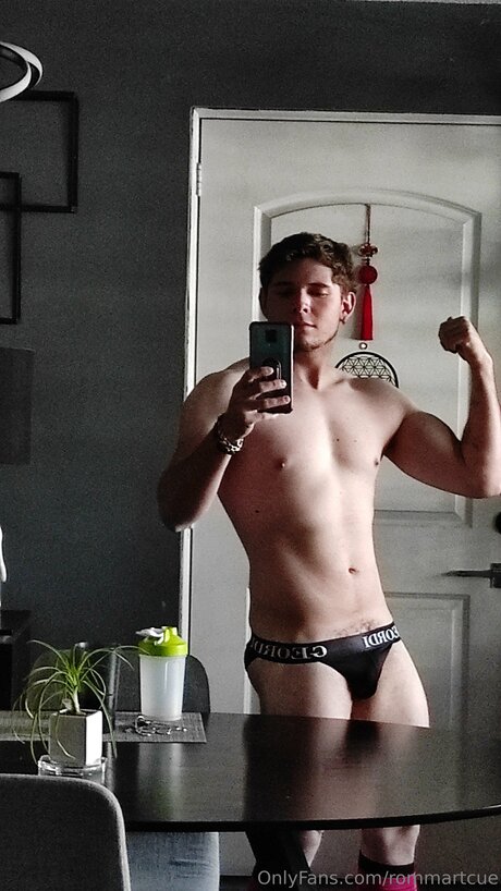 Rommartcue modèle img