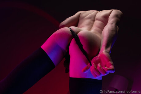 Neoforme modèle sympa image