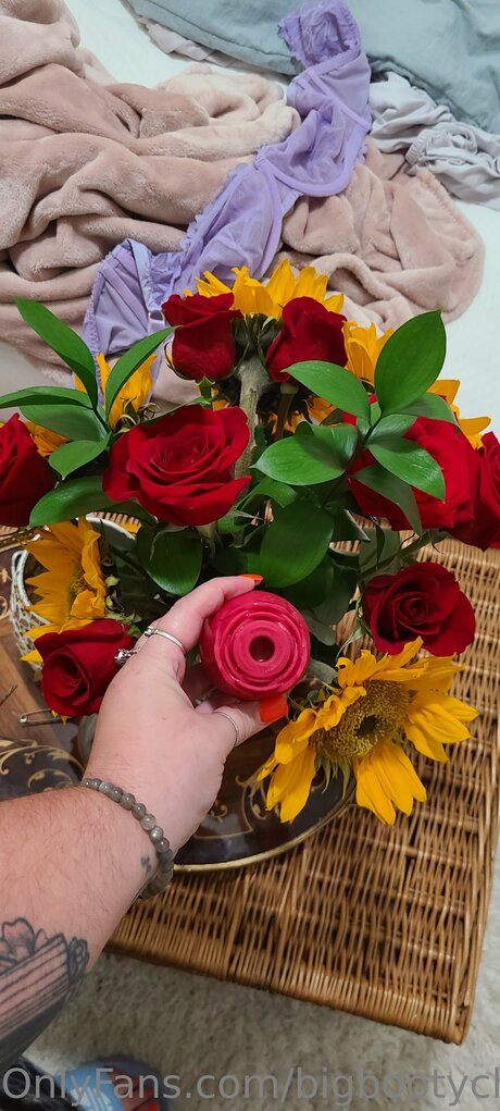 Bigbootychampagne nus de stars du porno galerie