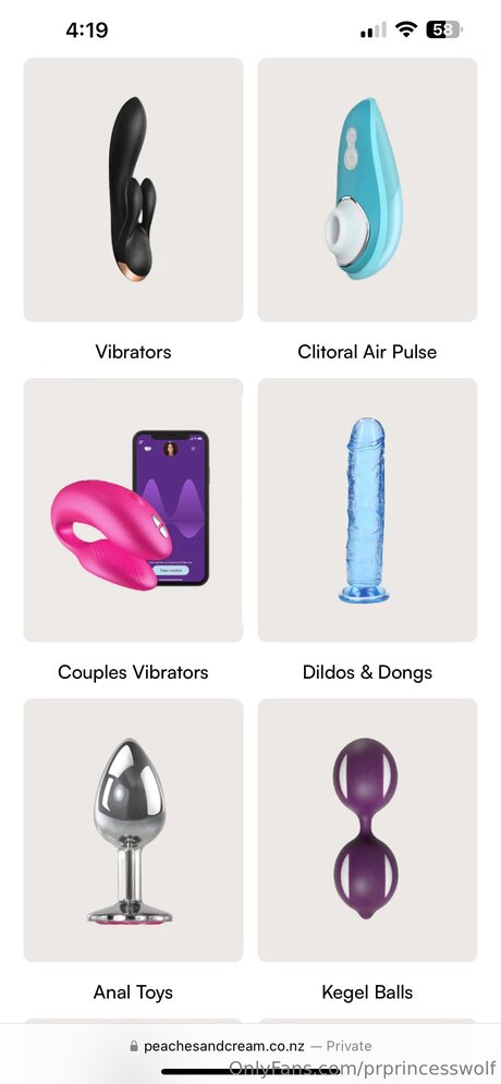 Prprincesswolf jolie actrice archive