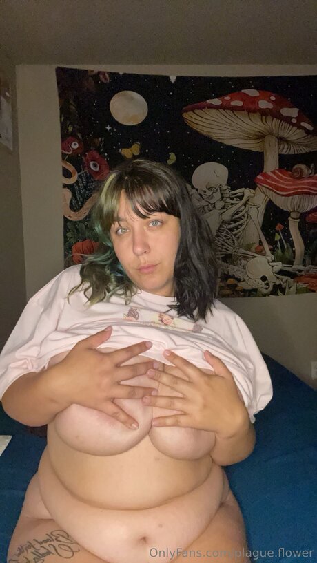 Plague Flower meilleure star du porno collection