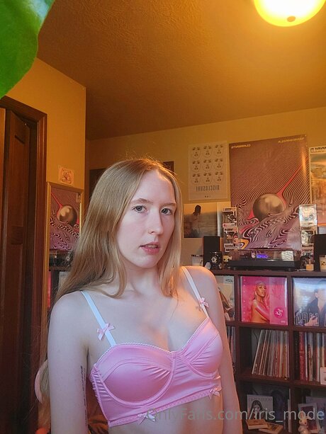 Thebunnyiris art étoile img