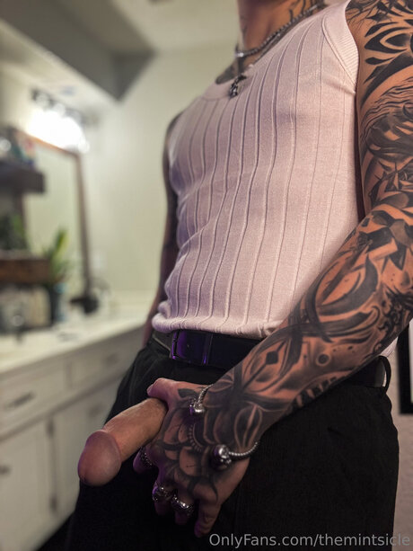 Themintsicle beau modèle galeries