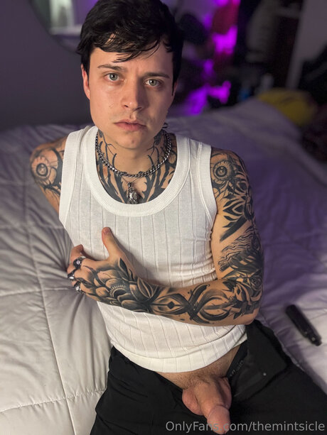 Themintsicle meilleure étoile img