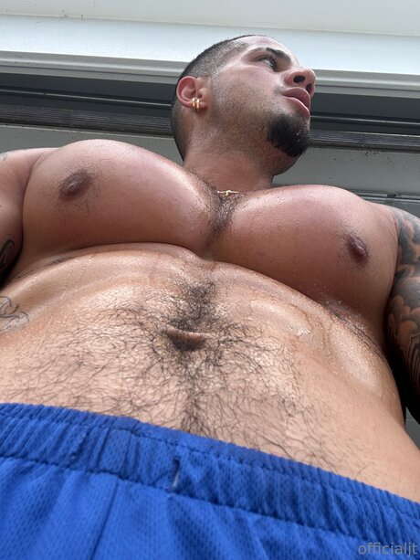 Officialjt étoile de haute qualité des photos