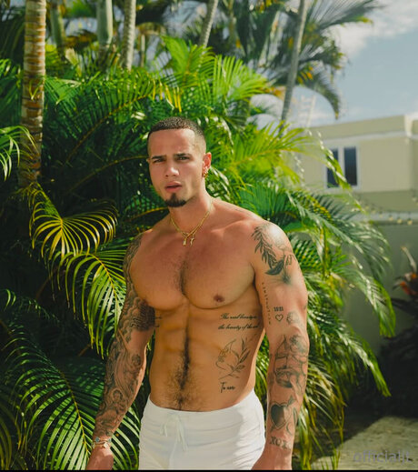 Officialjt sexe star du porno images