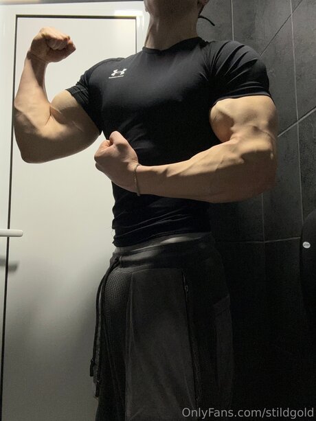 Stildgold meilleur modèle img