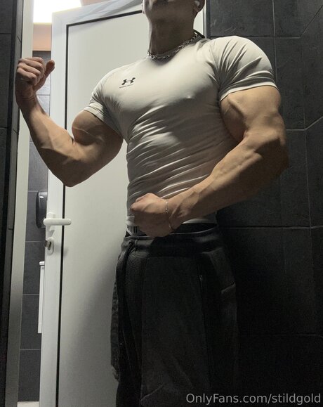 Stildgold modèle joli des photos