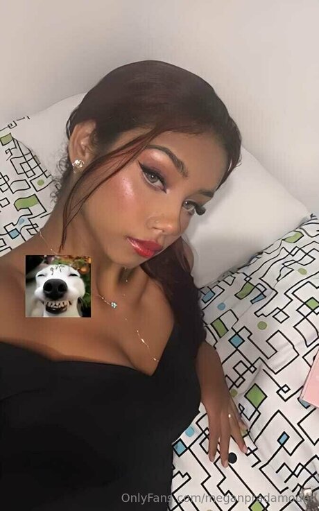 Meganpradamodel étoile de haute qualité image