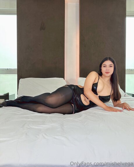 Mishelvega modèle artistique archive