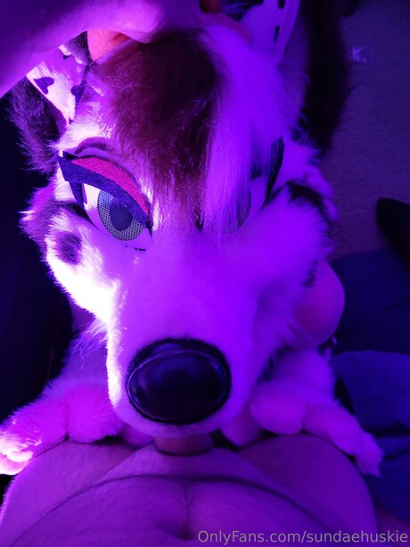 Sundaehuskie modèle porno galerie