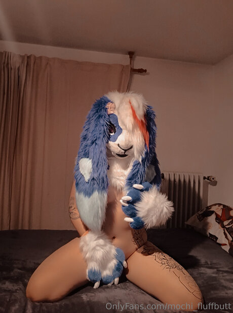 Mochi Fluffbutt haut étoile image