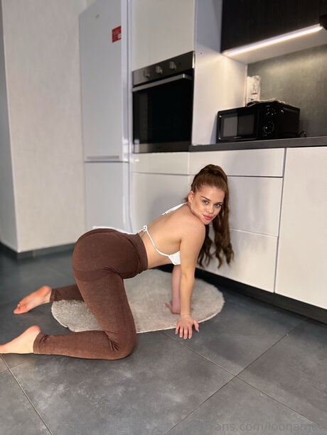 Loonamax meilleur modèle img