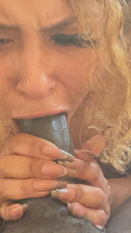 Carmelita Bebe haut de star du porno photos