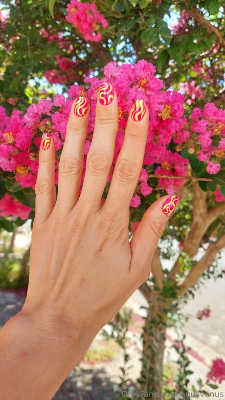 Agusvenus star du porno chaud galerie