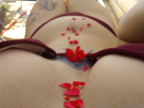 fans faits maison uniquement érotique photo