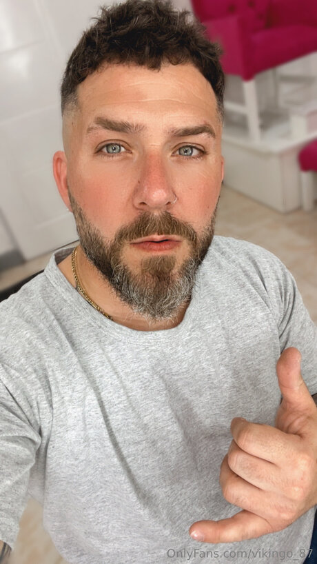 Vikingo 87 top star galerie