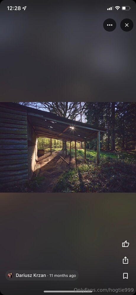 Hogtie999 xxx star du porno img