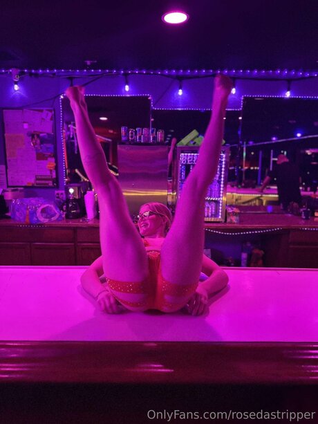 Rosedastripper modèle meilleur archive