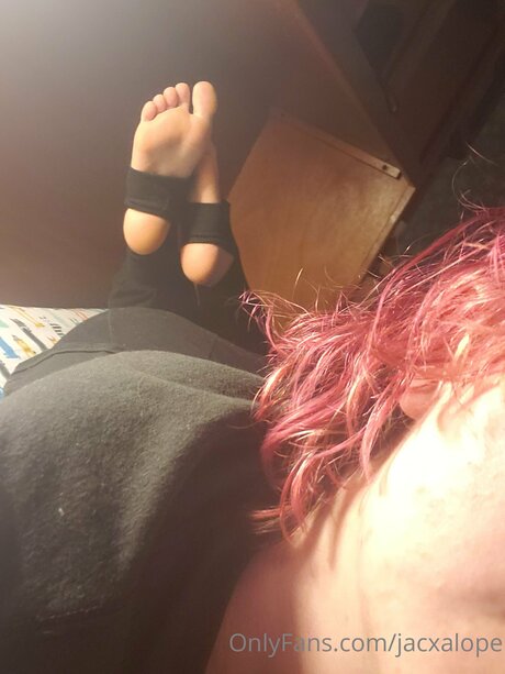 Jacxalope actrice xxx galeries