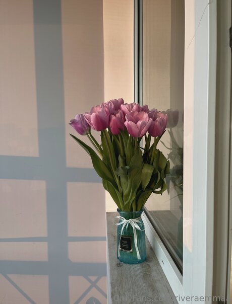 Riveraemmaa haut étoile archive