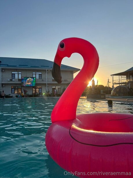 Riveraemmaa star pornographique photo