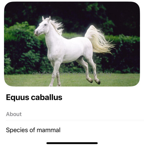 sexe lesbien onlyfans nus érotiques galerie