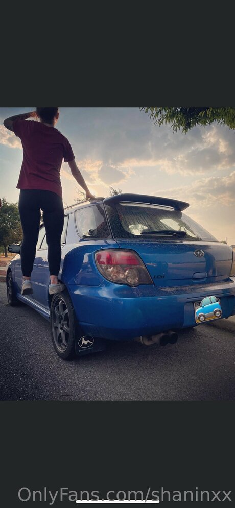 Shaninxx haut étoile galerie