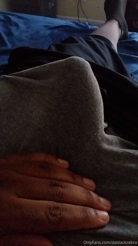 Dablackzebra actrice de grande qualité images