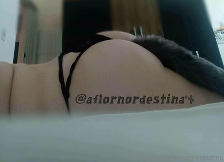 fans de célébrités uniquement beau pornographique galerie