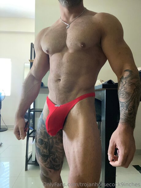 Trojanhorsecock9inches actrice de grande qualité collection