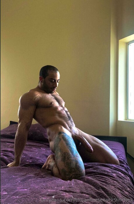 Trojanhorsecock9inches star du porno exclusive archive