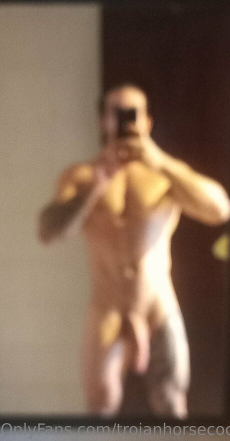 Trojanhorsecock9inches étoile parfaite des photos