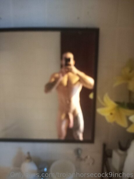 Trojanhorsecock9inches nus de stars du porno images
