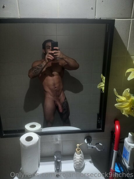 Trojanhorsecock9inches étoile de l'art img