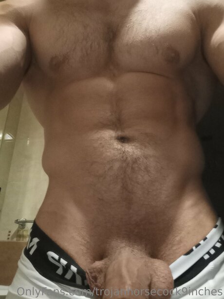 Trojanhorsecock9inches Profilfoto