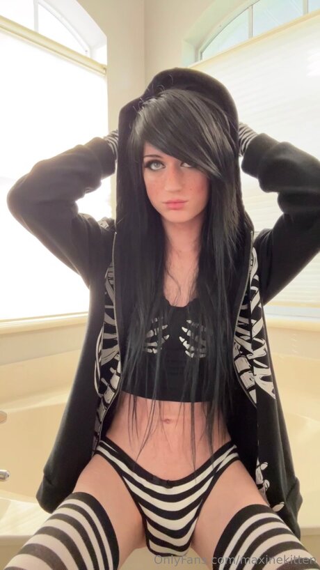 Maxinekitten étoile adulte galeries