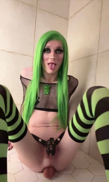 Maxinekitten étoile adulte des photos