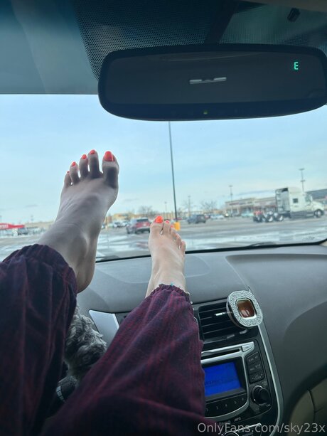 Sky23x étoile parfaite image