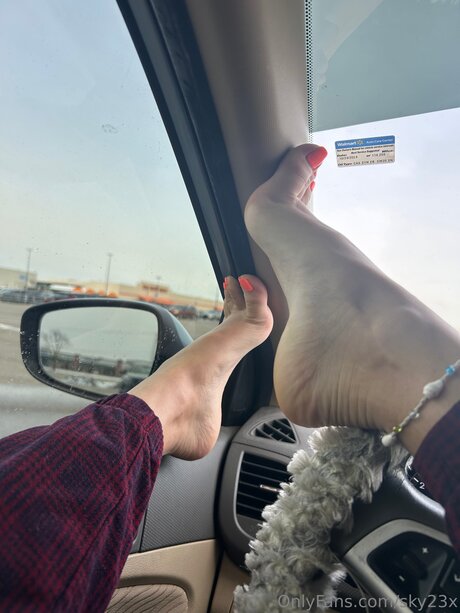 Sky23x modèle gratuit image