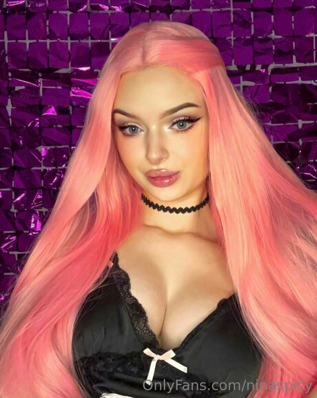 Ninaspicy modèle joli image